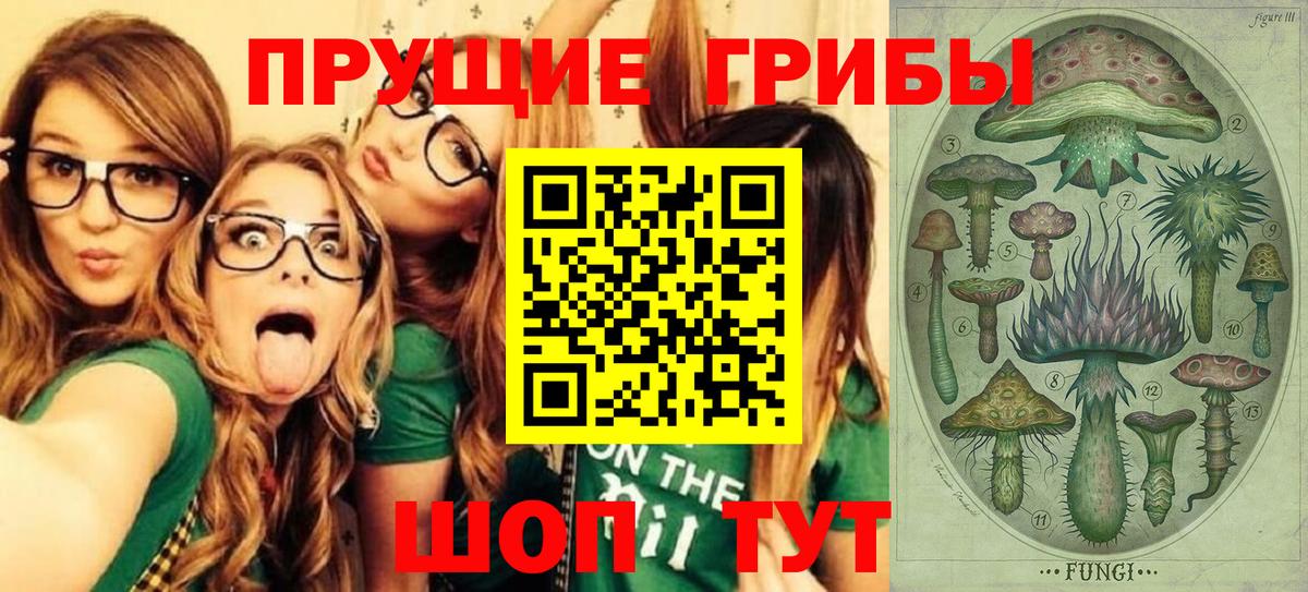 Галлюциногенные грибы прущие грибы Полысаево