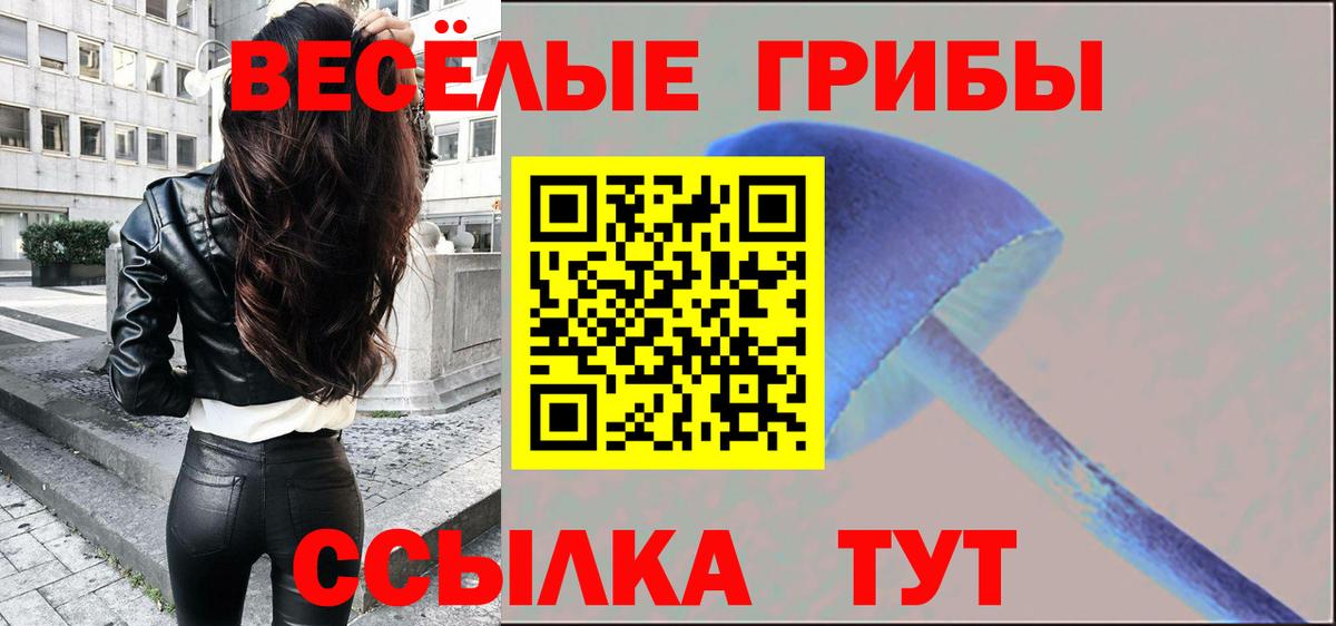 как найти закладки  Вход с VPN  Псилоцибиновые грибы прущие грибы  Полысаево  Псилоцибиновые грибы мицелий 
